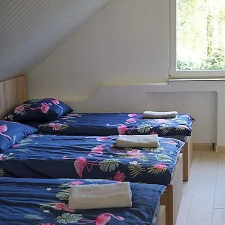 Lodge K2 - Niezalezny 5 Osobowy - Noclegigrodziskpl 792-535-535 *